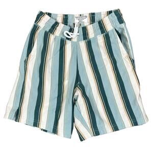 Free Planet Pinstriped Sweat Shorts Green Size Small